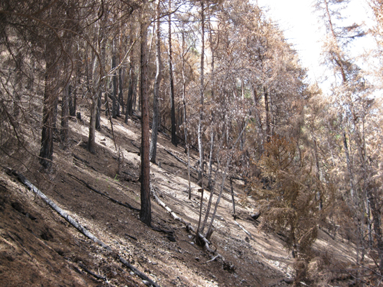 incendie Val d'Anniviers